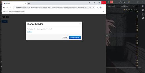 软件测试进阶指南 从手工到Selenium自动化测试与云溪软件开发实践