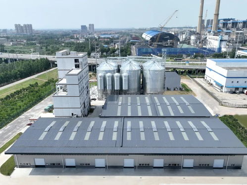 湖北省粮油进出口集团 以农业全产业链布局与数字化引擎，助推企业高质量发展